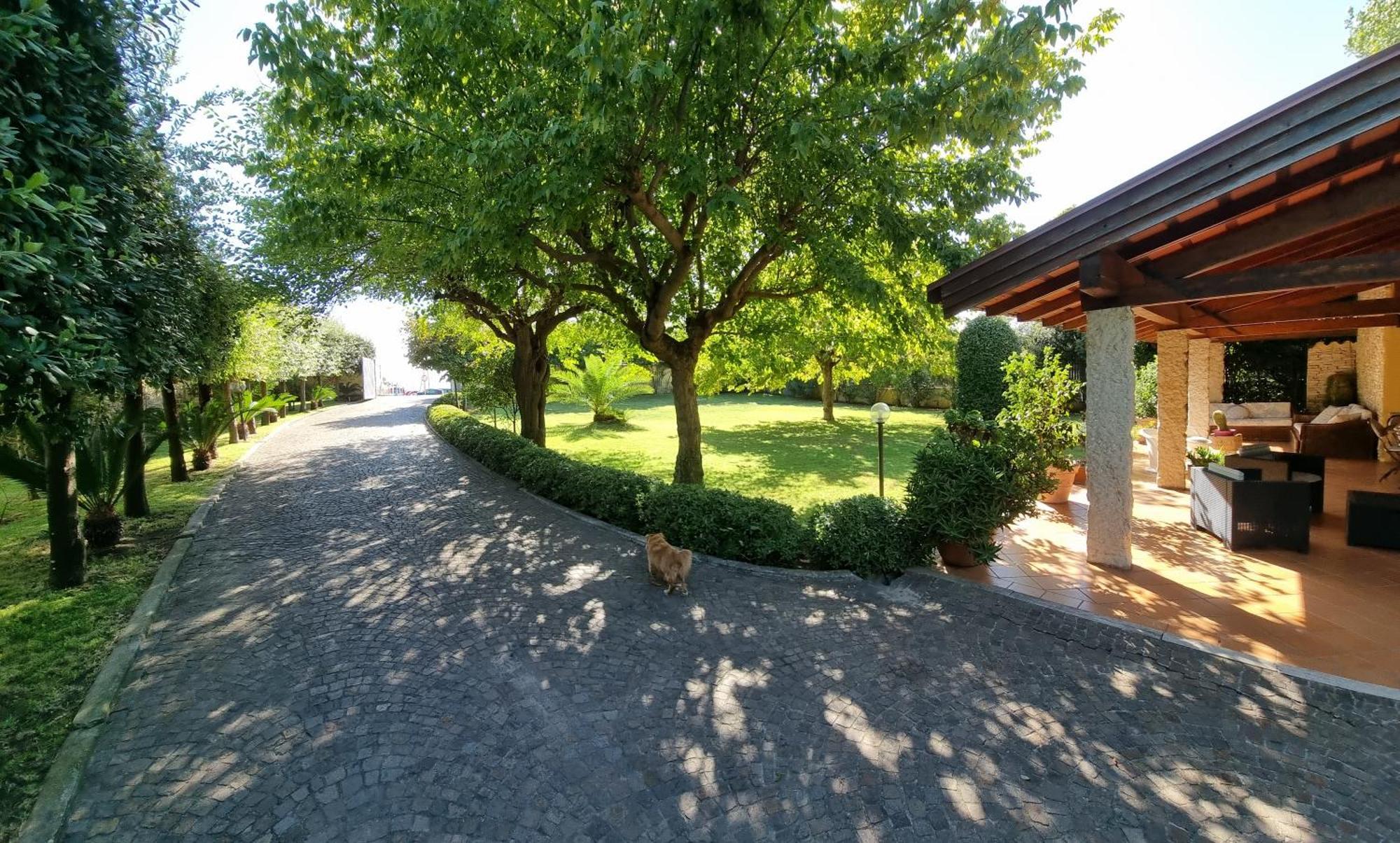 Villa Cecilia Sul Lago Fronte Mare Сперлонга Екстериор снимка